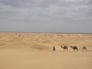 砂漠では夜になると180度　星の海。平地で星を真横に見る体験は日本では難しい