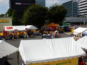 ミャンマー,ビルマ,ダディンジュ祭り,中野,国民民主連盟,スーチー,紅茶,NLD,ワダ・トゥトゥ
