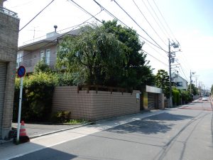 大きな木が庭に生えている建物